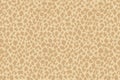 Light beige abstract cellular texture with soft spots and neutral blending Royalty Free Stock Photo
